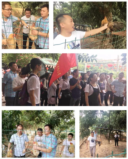 【戶(hù)外拓展】興千田九龍山歡樂(lè)一日游 【戶(hù)外拓展】興千田九龍山歡樂(lè)一日游