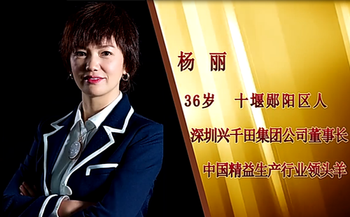 電視臺《十堰榮耀》專訪-興千田集團楊麗 電視臺《十堰榮耀》專訪-興千田集團楊麗