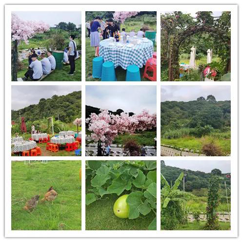 2020年興千田集團迎中秋、慶國慶聚餐活動 2020年興千田集團迎中秋、慶國慶聚餐活動