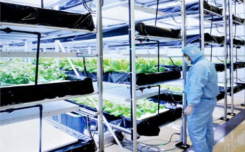 精益管可以做大棚管嗎? 精益管可以做大棚管嗎?