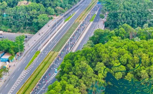 奮斗龍馬 |興千田CEO帶領團隊參加2023深圳龍華半程馬拉松7