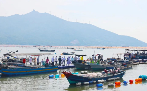 2024年興千田集團潮汕之旅7 2024年興千田集團潮汕之旅7