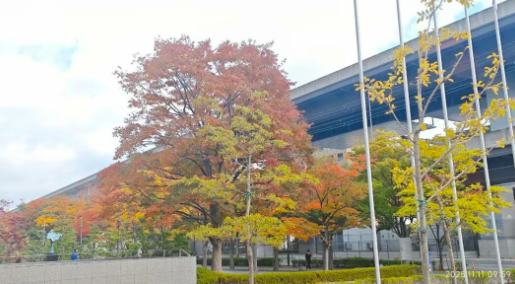 ScreenShot_2025-11-13_091156_787.png ScreenShot_2025-11-13_091156_787.png