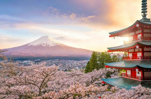 2025【精益生產+Karakuri 改善大會】一場關于“智慧”與“循環”的深度研學 2025【精益生產+Karakuri 改善大會】一場關于“智慧”與“循環”的深度研學